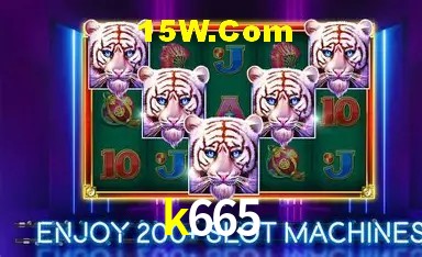 Login Seguro k665